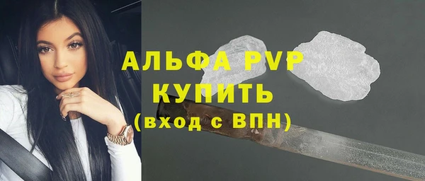 PSILOCYBIN Аркадак