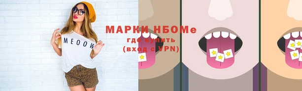 PSILOCYBIN Аркадак