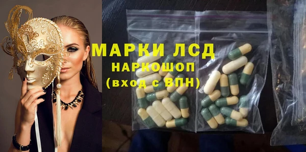 PSILOCYBIN Аркадак