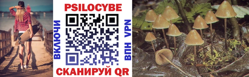 сайты даркнета состав  Ставрополь  Псилоцибиновые грибы Magic Shrooms 